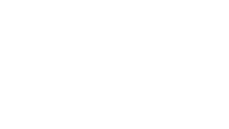 BVG